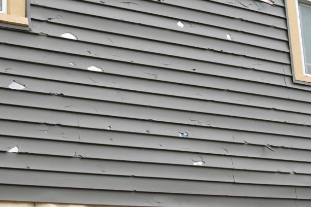 Best Demolition Debris Removal  in Willows, CA
